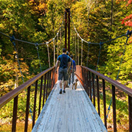 Thoreau suspension bridge