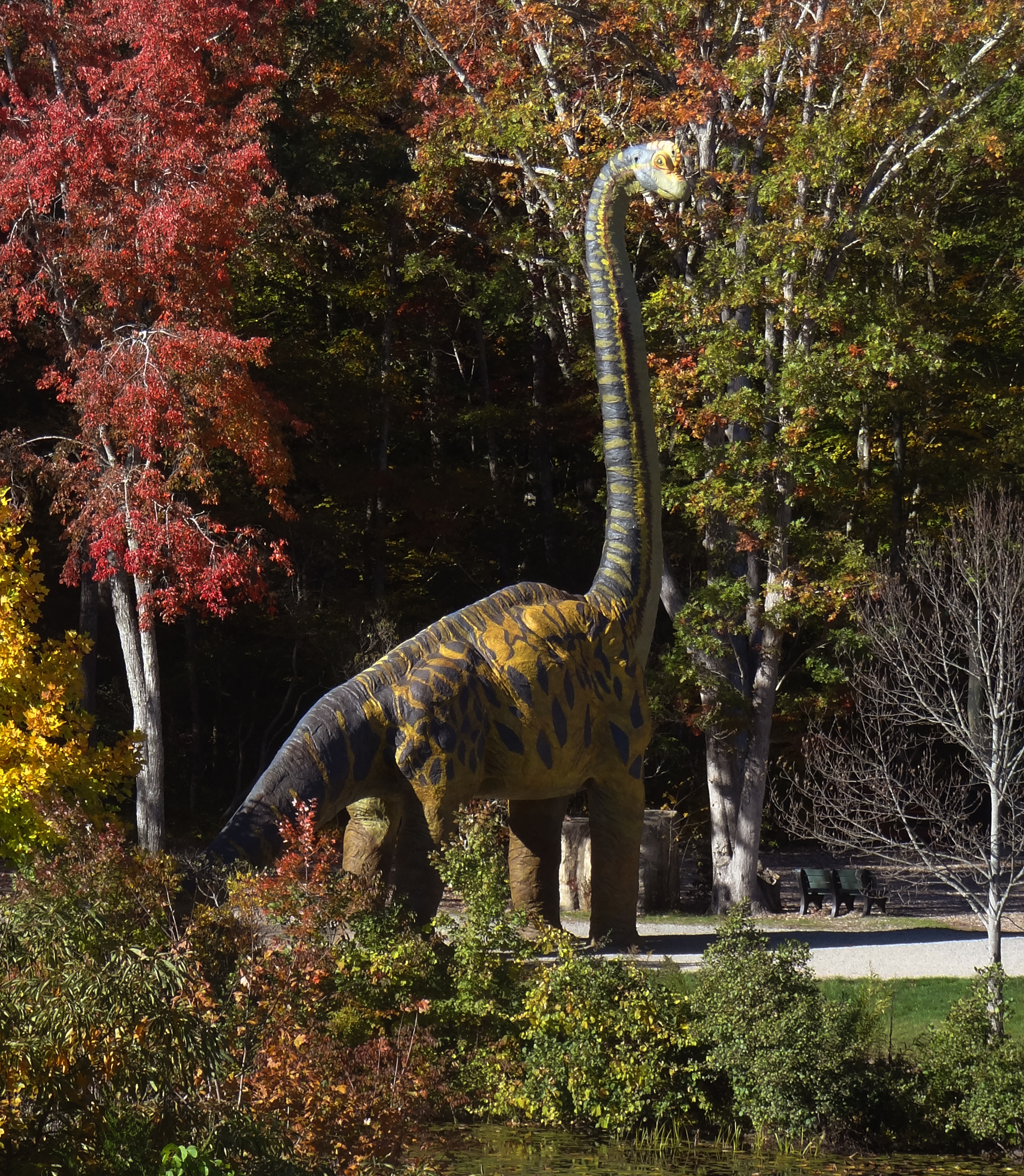 Brachiosaurus in the Fall