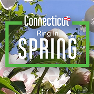Ring in Spring