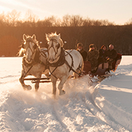 Winter Wonderland - Sleigh Ride