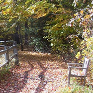 Top Hiking Trails in Fairfield County 