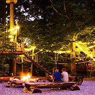 30+ Things to Do in November