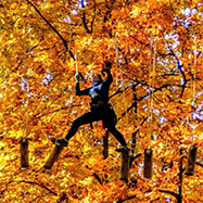 30+ Things to Do in October