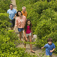 Three Generational Travel