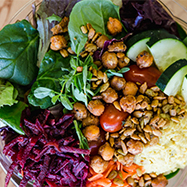 Food Focus: Vegan, Vegetarian, and Plant-Based